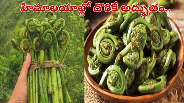 చికెన్, మటన్ కాదు.. ప్రపంచంలోనే అత్యంత శక్తివంతమైన కూరగాయ.. తిన్నారో అద్భుతాలే..