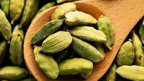 యాలకులతో ఆ సమస్యలకు చెక్ పెట్టొచ్చని తెలుసా?