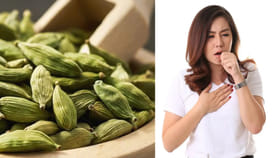 యాలకులతో ఆ సమస్యలకు చెక్ పెట్టొచ్చని తెలుసా?