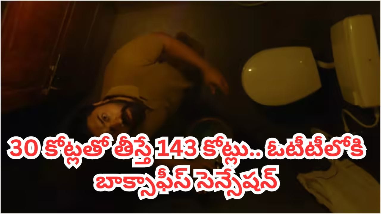 OTT Movie: 30 కోట్లతో తీస్తే 143 కోట్లు.. ఓటీటీలోకి బాక్సాఫీస్ సెన్సేషన్.. ఐఎమ్డీబీలోనూ టాప్ రేటింగ్ మూవీ