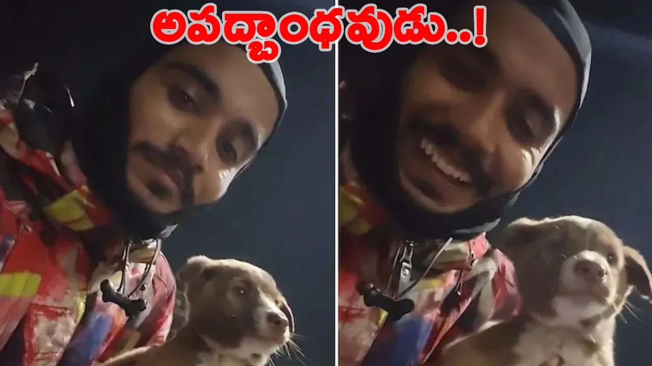 Viral Video: వేగంగా దూసుకొస్తున్న ట్రాఫిక్.. నడిరోడ్డులో బిక్కుబిక్కుమంటూ తల్లడిల్లిన కుక్క పిల్ల.. ఇంతలోనే..!