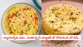 బ్యాచిలర్స్‌కు వరం.. మయోన్నైస్ మ్యాజిక్ తో నోరూరించే ఎగ్ డిష్..