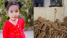 ఇంటి బయట ఆడుకుంటున్న చిన్నారి.. తల్లి వెళ్లి చూసేసరికే ఊహించని..