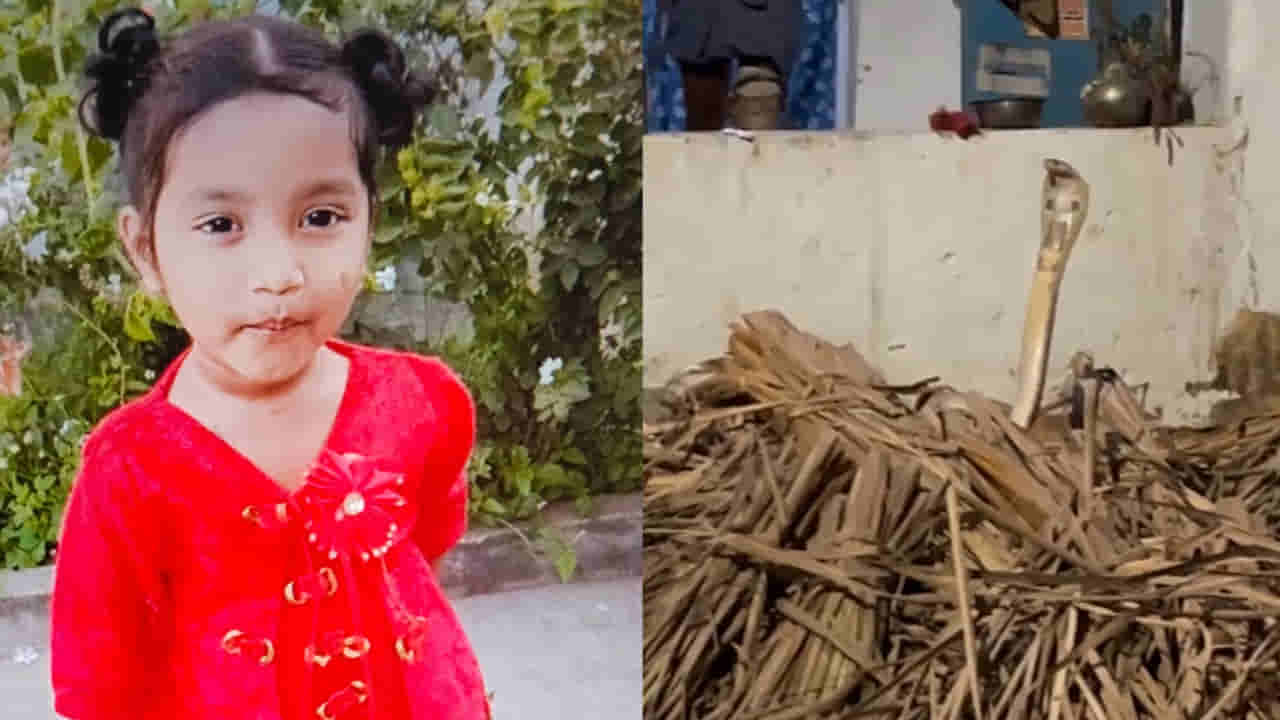 Andhra Pradesh: ఇంటి బయట ఆడుకుంటున్న చిన్నారి.. తల్లి వెళ్లి చూసేసరికే ఊహించని ఘోరం..