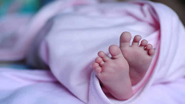 Telangana: ముళ్లపొదల్లో నుంచి శిశువు ఏడుపు శబ్ధాలు.. వెళ్లి చూడగా ఊహించని సీన్..