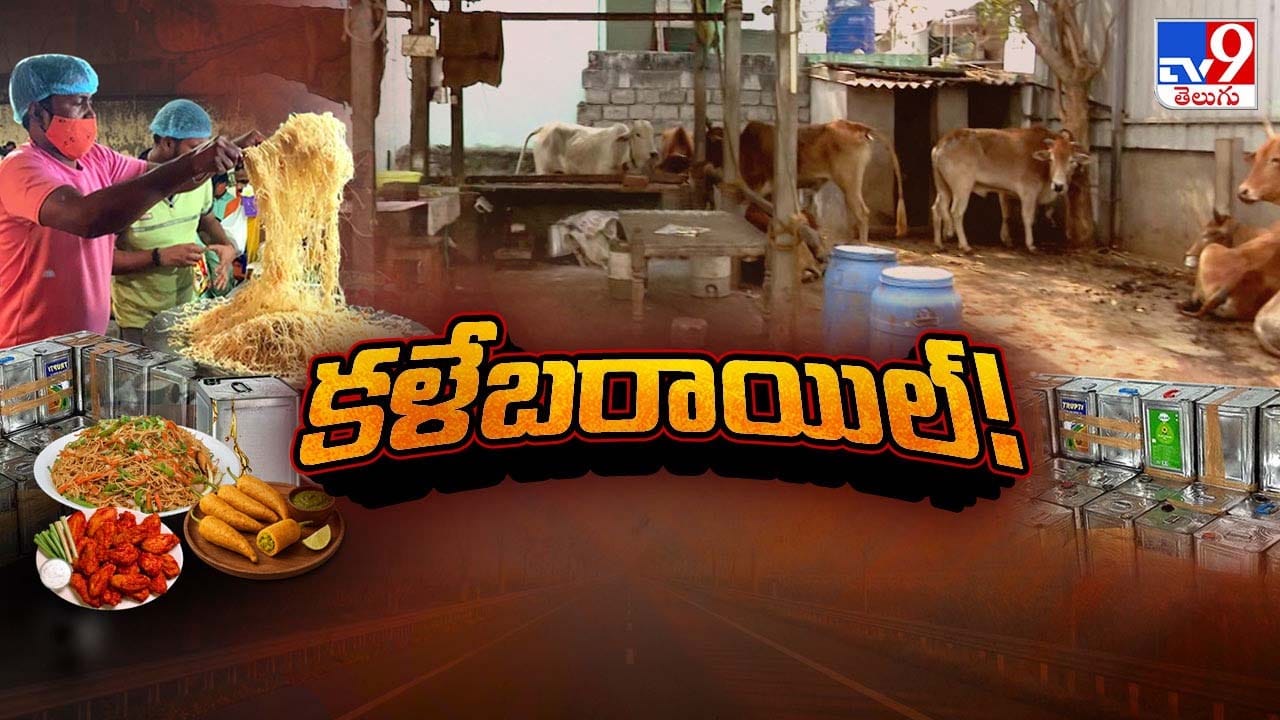 పల్లె నుంచి పట్నం దాకా..! తిన్నారో.. చచ్చారే! టీవీ9 నిఘాలో బయటపడ్డ జంతు ఆయిల్‌ దందా!