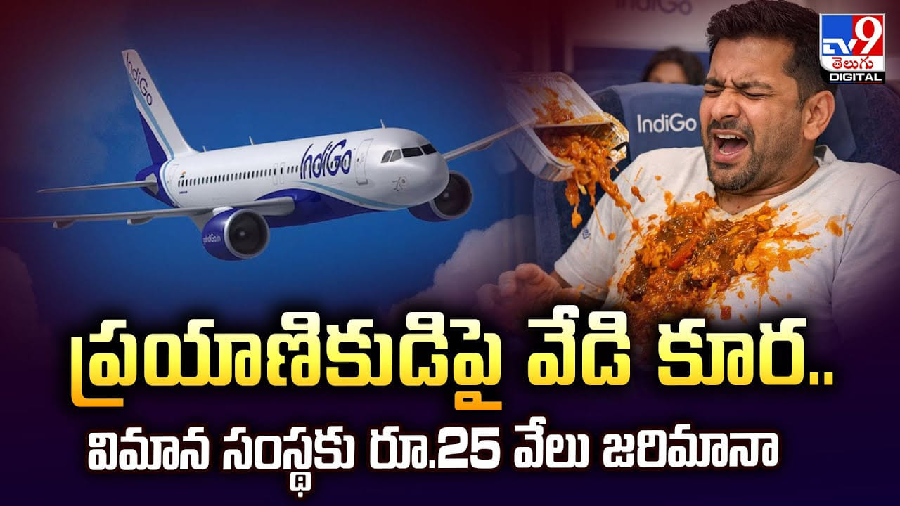ప్రయాణికుడిపై పడిన వేడి వేడి కూర.. విమాన సంస్థకు దిమ్మ తిరిగే జరిమానా