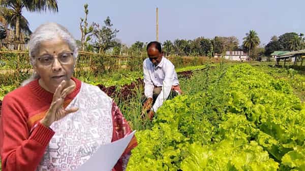 లాభసాటి వ్యవసాయంపై కేంద్రం ఫోకస్.. పాడి-కోళ్ల పెంపకం, కొబ్బరి, గంధపు సాగుకు ప్రాధాన్యత..!