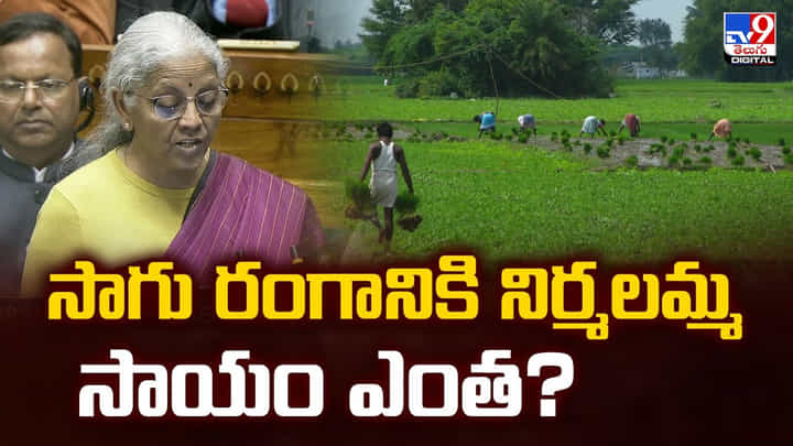 సాగు రంగానికి నిర్మలమ్మ సాయం ఎంత ?? సాగు రంగానికి నిర్మలమ్మ సాయం ఎంత ??