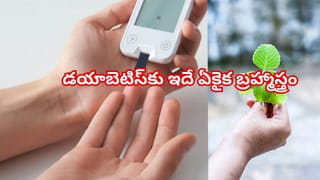 గృహిణులకు గుడ్ న్యూస్: ఈ సింపుల్ ట్రిక్ పాటిస్తే పెరుగు వారం రోజులైనా తాజాగా ఉంటుంది..!