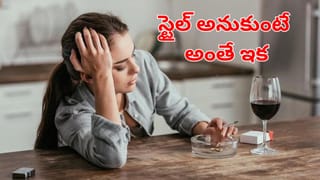 Beauty Tips: తులసితో అదిరిపోయే చర్మ ఆరోగ్యం.. ఇలా వాటితే ముఖం మిళమిళ మెరవాల్సిందే!