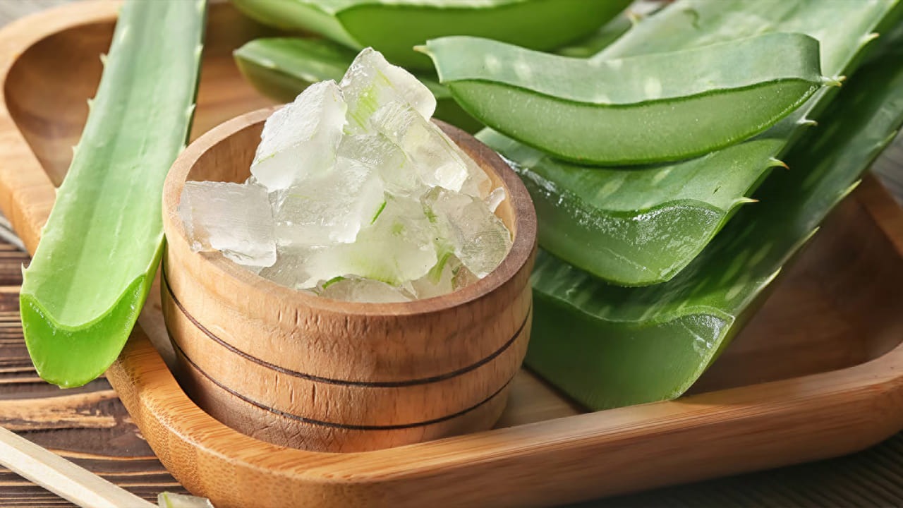 నేటి బిజీ జీవనశైలి, క్రమరహిత ఆహారం, పని ఒత్తిడి వల్ల చిన్న వయసులోనే రక్తపోటు, మధుమేహం వంటి తీవ్రమైన వ్యాధులు వస్తున్నాయి. అటువంటి పరిస్థితిలో ఆహారంలో సహజమైన పోషకాలను చేర్చుకోవడం చాలా ముఖ్యం. అందుకు కలబంద గొప్ప ఎంపిక. ఇది శరీరాన్ని లోపల నుంచి ఆరోగ్యంగా ఉంచుతుంది.