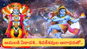 అమలకి ఏకాదశి.. నూతన వధూవరులకు ఎందుకంత ప్రత్యేకమో తెలుసా..?