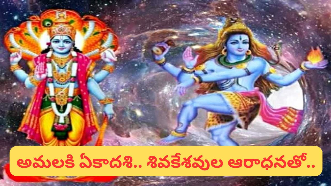 కాశీకి శివపార్వతులు..! అమలకి ఏకాదశి.. నూతన వధూవరులకు ఎందుకంత ప్రత్యేకమో తెలుసా..?