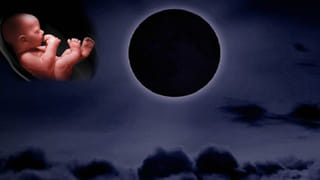 మట్టి కుండలో మటన్ కర్రీ.. ఇలా వండితే ముద్ద ముద్దకు ఆహా అనాల్సిందే!