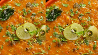 Lion: సింహ గర్జన ఎన్ని కిలోమీటర్ల వరకు వినిపిస్తుందో తెలుసా.?