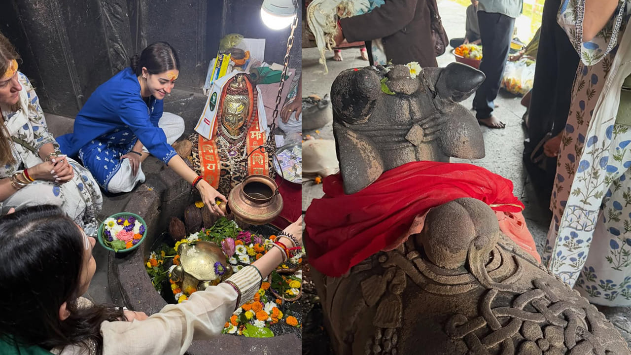  పతి పత్ని ఔర్ వో','డ్రీమ్ గర్ల్ 2' తదితర సినిమాల్లో అనన్యా పాండే నటనకు మంచి మార్కులు పడ్డాయి.  నెట్‌ఫ్లిక్స్‌లో వచ్చిన సై-ఫై థ్రిల్లర్ 'CTRL' కూడా ఈ బ్యూటీకి మంచి క్రేజ్ తెచ్చిపెట్టింది.
