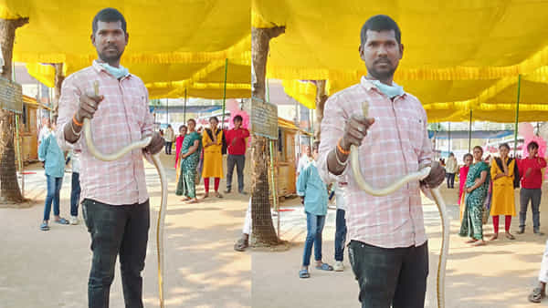 Andhra: అందరూ పే..ద్ద పామును భలేగా పట్టాడనుకున్నారు.. కట్ చేస్తే.. కాసేపటి తర్వాత
