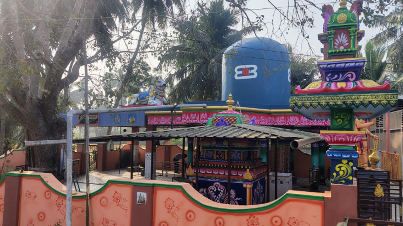 పూర్వం మెగల్తూరులో అటవీ ప్రాతంగా ఉండే వనాల మధ్య స్వామి వారు స్వయంభువుగా వెలిశారు. దీంతో ఇక్కడికి వచ్చిన సాదువులు పక్కనే ఉండే కోనేరు నుంచి నీటిని తీసుకొచ్చి, స్వామివారికి అభిషేకం చేయడం చేసేవారంట. ఆ సమయంలో మొగల్తూరు రాజులు ఈ స్వామివారిని అడివిలోకి వచ్చి పూజించేవారు. అయితే కొంత మంది రాజులు కోట నుంచి అడవిలోని వచ్చి శివలింగాన్ని పూజించడం ఇబ్బందిగా భావించి, శివలింగాన్ని కోట వద్ద ప్రతిష్టించేందుకు నానా ప్రయత్నాలు చేసినా ఫలితం లేకుండాపోయిందంట. 