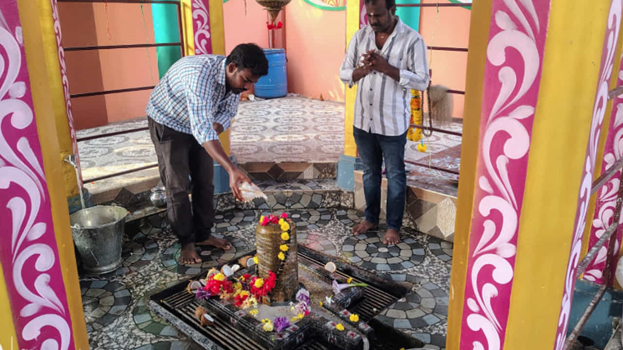 ఇక్కడి ప్రతి నిత్యం పూజలు జరుగుతుంటాయి. ముఖ్యంగా భక్తులు స్వయంగా శివలింగాన్ని తాకి, పూజలు, అభిషేకాలు చేసే ఛాన్స్ ఉన్నదంన, మొగల్తూరు ప్రాతం వారే కాకుండా, చుట్టుపక్కల వారు కూడా ఈ ఆలయం వద్దకు వచ్చి స్వామి వారికి ప్రత్యేక పూజలు చేస్తుంటారు. దీంతో స్వయంభూలింగేశ్వర వన మల్లిఖార్జునుడిగా, ఆలయం ప్రసిద్ధికెక్కింది.శ్రీశైలం తరువాత శివలింగాన్ని నేరుగా భక్తులు ముట్టుకుని పూజించే అవకాశం ఇక్కడ మాత్రమే ఉంది. ఈ స్వామి ఎండకు ఎండుతూ వానకు తడుస్తుండటం తో భక్తులు స్వామి వారికి పందిరి వేయగా అగ్నికి ఆహుతి కావడంతో శివలింగానికి పైన ఆలయం నిర్మించే ప్రయత్నం మానుకున్నారు భక్తులు.