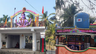 Stingless Bees: ఈ తేనెటీగలు కుట్టినా ఏం కాదు.. మస్త్ డబ్బులు వస్తాయ్..