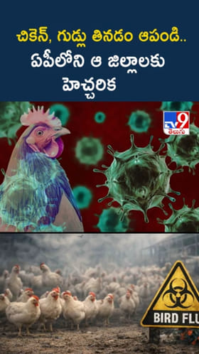 AP Bird Flu Alert: నాన్ వెజ్ ప్రియులు అలెర్ట్.. ఆ జిల్లాల్లో చికెన్, గుడ్లు తినకండి..!
