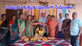 పెంపుడు కుక్కకు ఘనంగా సీమంతం.. అతిధులకు చీర, సారెలతో విందు భోజనం