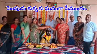 పట్టపగలు రైలు పట్టాలపై వింత ఆకారం.. స్థానికుల అరుపులు, కేకలు.. ఆగిపోయిన రైళ్లు..! కట్‌చేస్తే..
