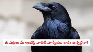 Dream Meanings: కలలో రక్తం కనిపిస్తే మీ జీవితం ఏ మలుపు తిరుగుతుందో తెలుసా?