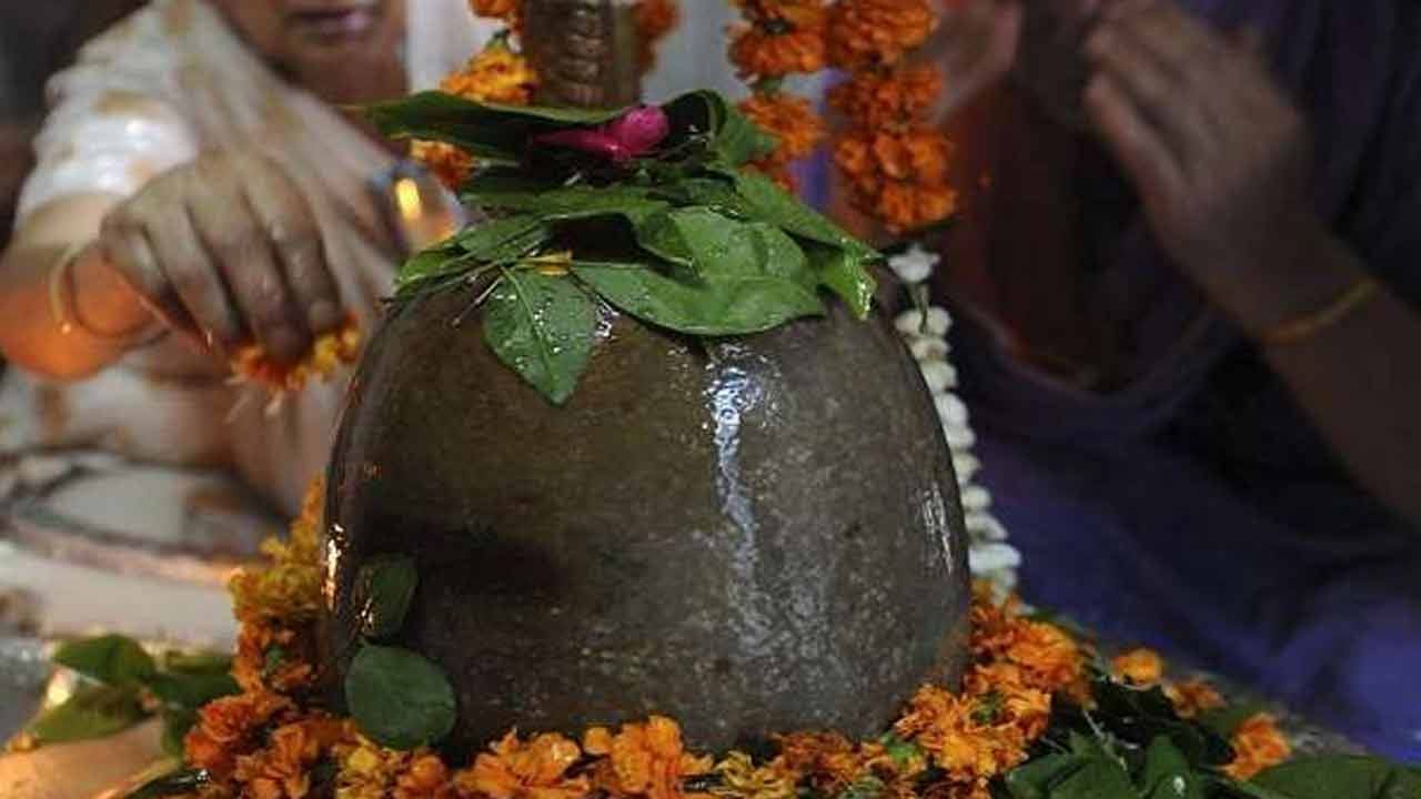 శాస్త్రవేత్తలు బేల్ ఆకులను అధ్యయనం చేసి, ఆస్తమా, విరేచనాలకు చికిత్స చేయడంలో ఇన్సులిన్ స్థాయిలను మెరుగుపరచడంలో, జుట్టును బలోపేతం చేయడంలో, తల్లి పాల నాణ్యతను మెరుగుపరచడంలో సహాయపడతాయని కనుగొన్నారు. 