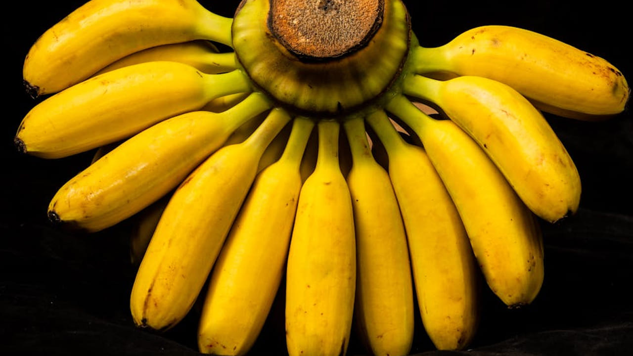 బనానాను ఎలా తీసుకున్నా కూడా మనకీ శక్తినిస్తుంది. పేగు సమస్యలతో బాధ పడేవారు దానిని నేరుగా తీసుకోవ‌డమే బెస్ట్ అని చెబుతున్నారు. 
