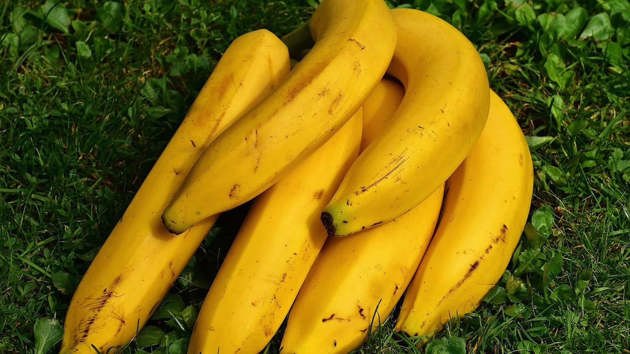 పరగడుపున అర‌టి పండును తీసుకుంటే.. అది సరిపోను శక్తినివ్వదని వైద్యులు చెబుతున్నారు. ఇంకా ఇది ఆ సమయంలో ఐరన్ ను గ్రహించ లేదు. దీని వలన ఇమ్యూనిటీ పవర్ కూడా తగ్గిపోతుంది. 