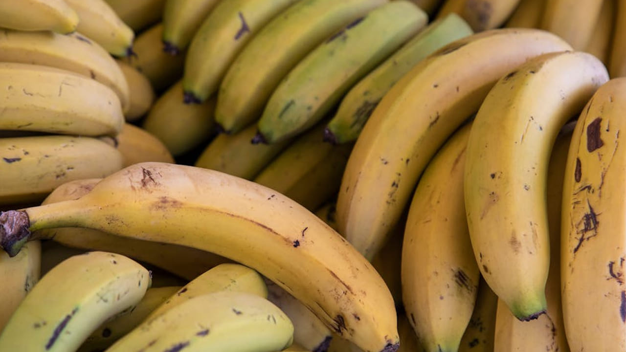 బనానా షేక్ తీసుకుంటే పని ఒత్తిడిని తగ్గిస్తాయి. దీనిని రోజూ  తాగితే పురుషుల్లో వస్తున్న ఒత్తిడి వంటి సమస్యలు రాకుండా చేస్తుందని నిపుణులు చెబుతున్నారు. 
 