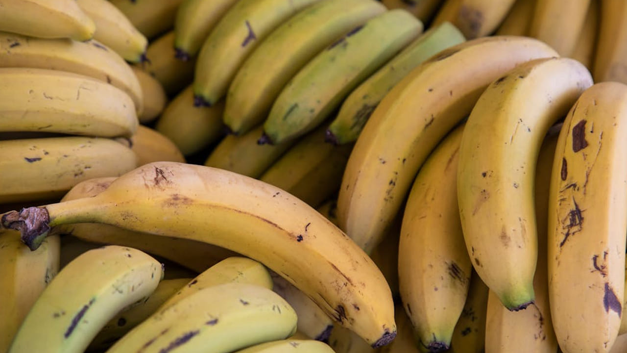 ఇక బరువు తగ్గాలనుకునే వారు దీనిని ఎక్కువగా తీసుకోకూడదు. బనానాలో క్యాల‌రీలు చాలా తక్కువ ఉంటాయి. దీనిని తీసుకున్న గంటకే ఆకలి వేస్తుంది. ఇక ఏదోకటి తినేస్తారు. ఆ తర్వాత బ‌రువు కూడా అమాంతం పెరుగుతారు. 