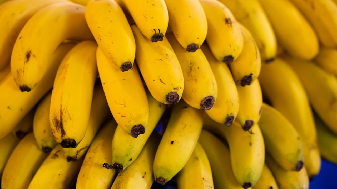 
అరటి పండులో ఫైబ‌ర్ అధికంగా ఉంటుంది. ఇంకా ఇది క‌డుపు నొప్పిని కూడా తీవ్రతరం చేస్తుంది. కాబట్టి, అరటి పండును ఎక్కువగా తీసుకోకపోవడమే మంచిదని వైద్యులు చెబుతున్నారు. 
