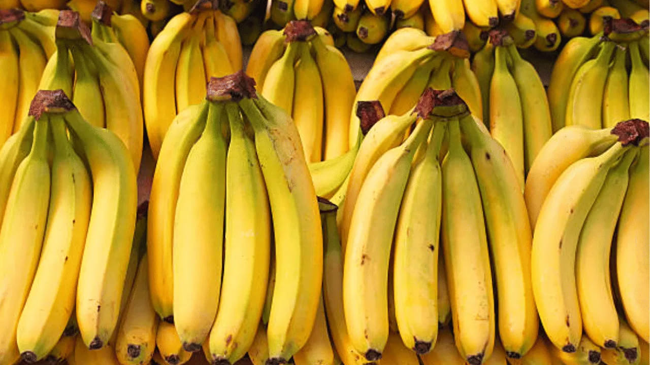 ఖరీదైన మందులు, విదేశీ పండ్ల కంటే మనకు అందుబాటులో ఉన్న అరటిపండు ఎంతో మేలైనది. ప్రతిరోజూ క్రమం తప్పకుండా ఒక అరటిపండును మీ ఆహారంలో భాగం చేసుకుంటే.. దీర్ఘకాలిక ఆరోగ్య సమస్యలను దూరం చేసుకోవచ్చు. అయితే మధుమేహం ఉన్నవారు మాత్రం వైద్యుల సలహా మేరకు దీనిని తీసుకోవడం మంచిది.
