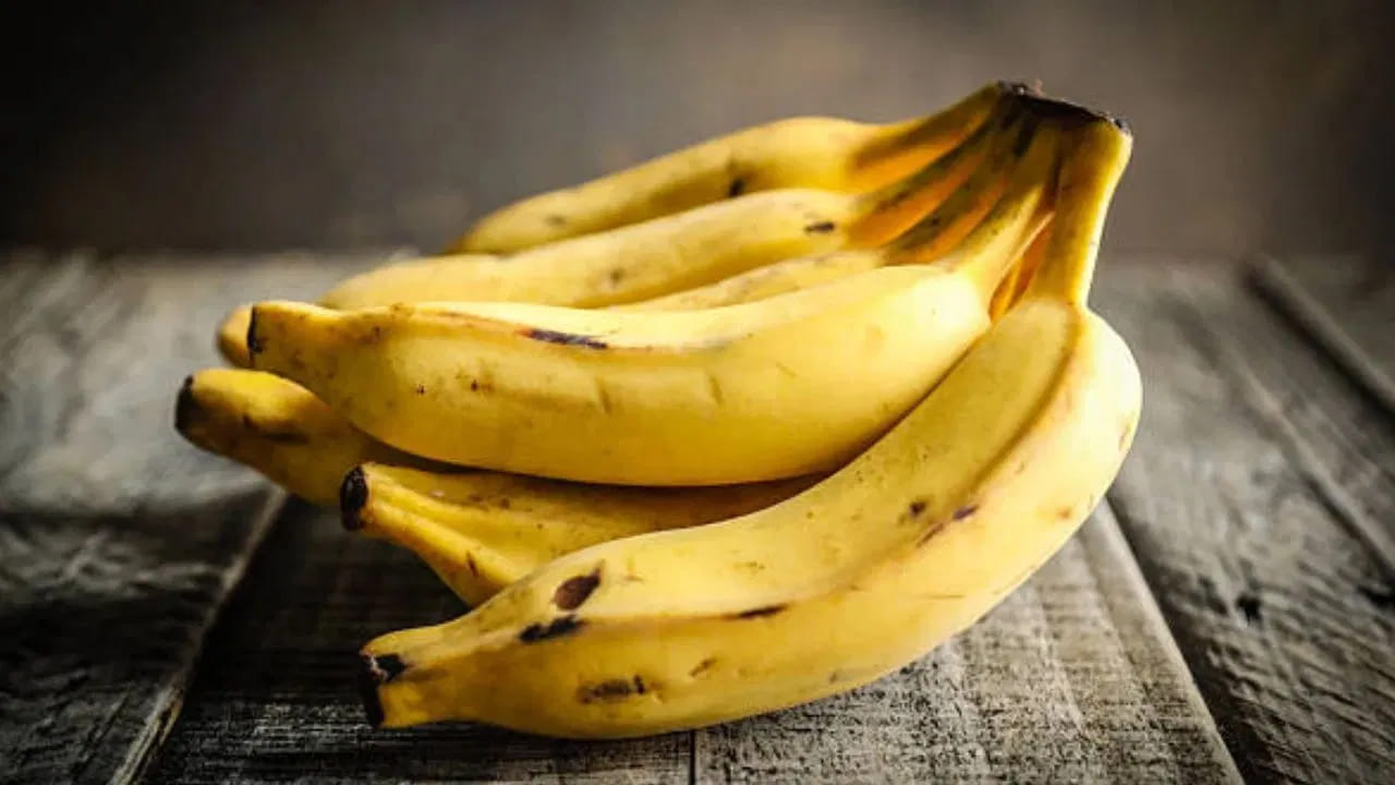 జీర్ణవ్యవస్థకు ప్రాణవాయువు: అరటిపండు జీర్ణక్రియను మెరుగుపరచడంలో అద్భుతంగా పనిచేస్తుంది. ఇందులో ఉండే రెసిస్టెన్స్ స్టార్చ్, ప్రీబయోటిక్ ఫైబర్ పేగులలోని మంచి బ్యాక్టీరియాకు ఆహారంగా మారుతాయి. దీనివల్ల జీర్ణవ్యవస్థ చురుగ్గా మారుతుంది. పచ్చి అరటిపండ్లలో ఉండే యాంటీ అల్సర్ గుణాలు కడుపులో గ్యాస్ సమస్యలను తగ్గించడమే కాకుండా కడుపు లోపలి పొరను రక్షిస్తాయి. తద్వారా అల్సర్లు, మలబద్ధకం వంటి సమస్యల నుండి శాశ్వత ఉపశమనం లభిస్తుంది.