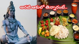 మీ ఇంట్లో మనీ ప్లాంట్ పెంచుతున్నారా..? ఈ తప్పు చేశారంటే డబ్బు రావడం కాదు.. ఉన్నది కూడా పోతుంది!