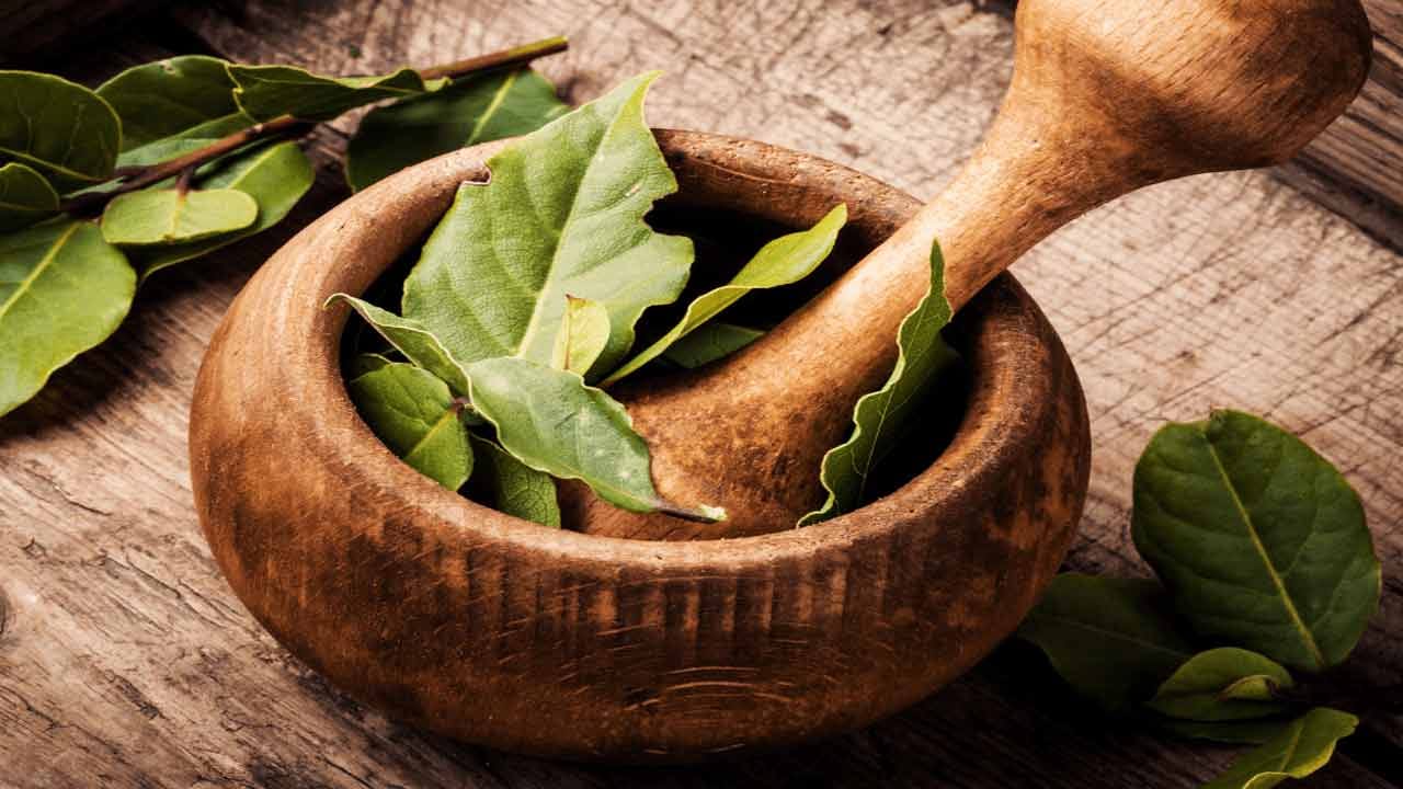 బిర్యానీ ఆకులలో రాగి, పొటాషియం, కాల్షియం, మాంగనీస్, సెలీనియం, ఇనుము కూడా ఉంటాయి. ఇవి ఆరోగ్యానికి చాలా ప్రయోజనకరంగా ఉంటాయి. కడుపు సమస్యలకు ప్రయోజనకరంగా ఉంటాయి. మీరు ఆమ్లత్వం లేదా మలబద్ధకంతో బాధపడుతుంటే, ఈ ఆకులు చాలా ప్రయోజనకరంగా ఉంటాయి.