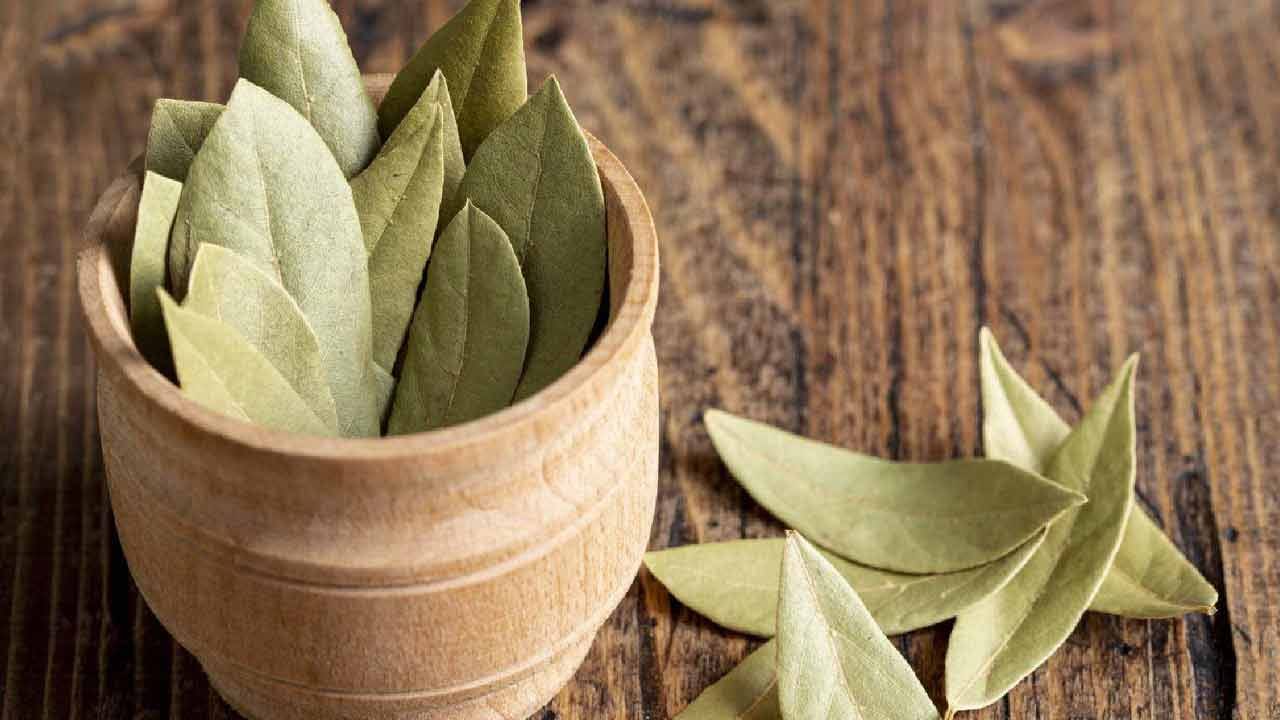 సరైన ఆహారపు అలవాట్ల కారణంగా, మీరు తరచుగా జీర్ణ సమస్యలతో బాధపడవచ్చు. బిర్యానీ ఆకులను తినడం వల్ల మలబద్ధకం, ఆమ్లత్వం, తిమ్మిరి నుండి ఉపశమనం లభిస్తుంది. ఇది కడుపు సంబంధిత అనేక సమస్యలకు చికిత్స చేయడంలో ప్రభావవంతంగా పనిచేస్తుంది. రాత్రిపూట సరిగా నిద్ర పట్టకపోతే, ఈ ఆకులను తినడం వల్ల సమస్య నుండి ఉపశమనం కలిగిస్తుంది. పడుకునే ముందు బిర్యానీ ఆకు నీటిని తాగాలి. 