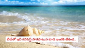 బీచ్‌లో ఇవి కనిపిస్తే పొరపాటున కూడా ఇంటికి తేకండి..