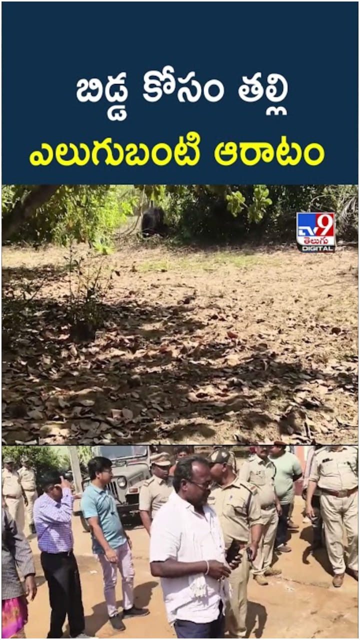 Mother Love: అయ్యో.. బిడ్డ కోసం తల్లి ఎలుగుబంటి ఆరాటం