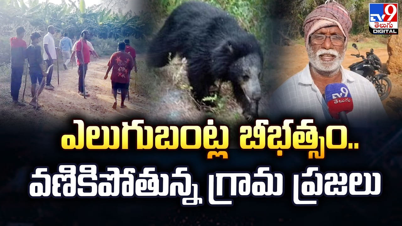 ఎలుగుబంట్ల బీభత్సం.. వణికిపోతున్న గ్రామ ప్రజలు