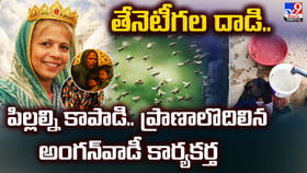 తేనెటీగల దాడి.. పిల్లల్ని కాపాడి.. ప్రాణాలొదిలిన కార్యకర్త