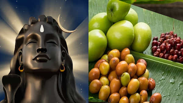 శివరాత్రికి రేగు పండ్లను నైవేద్యంగా ఎందుకు పెడతారో తెలుసా?