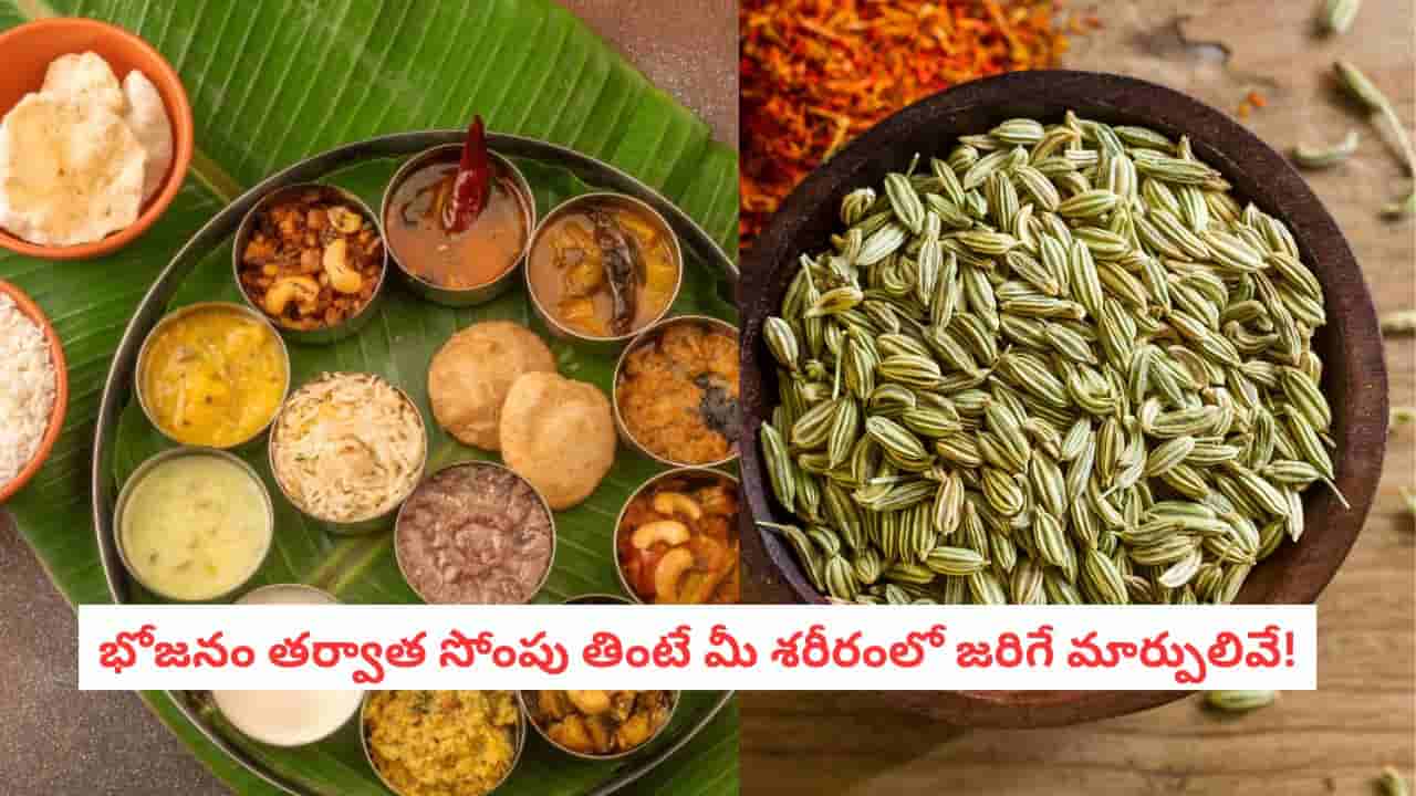 Fennel Seeds: హోటల్ లో భోజనం చేసిన తర్వాత సోంపు తినకపోతే ఏమవుతుందో తెలుసా..?