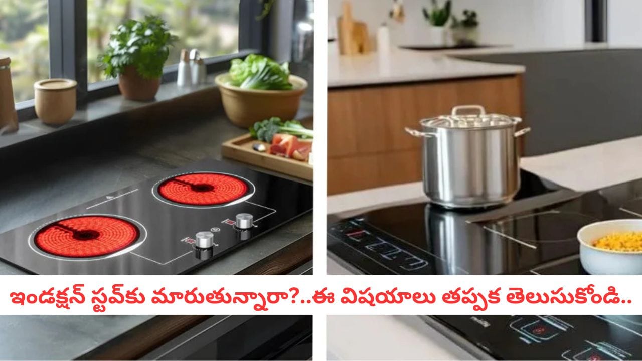 Induction Cooking: గ్యాస్ కష్టాలకు చెక్ పెట్టేందుకు ఇండక్షన్ స్టవ్ సరైనదేనా? దీని వెనక సైన్స్ ఏంటో చూడండి!