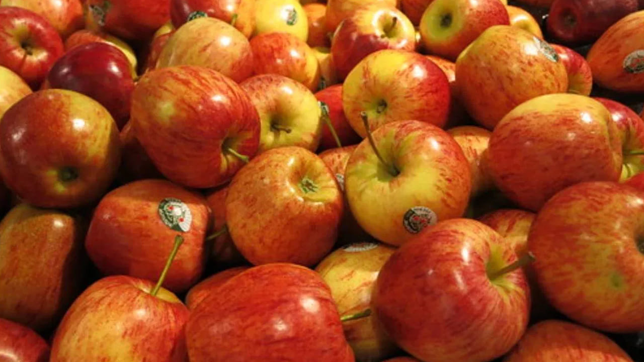 ఆపిల్:  రోజుకో ఆపిల్ తింటే డాక్టర్ అవసరం ఉండదన్న మాట మధుమేహ వ్యాధిగ్రస్తులకు కూడా వర్తిస్తుంది. ఇందులో ఉండే పెక్టిన్ అనే ఫైబర్ చక్కెర శోషణను నెమ్మదిస్తుంది. ఆపిల్‌ను ఎప్పుడూ తొక్కతో సహా తినాలి. దీనివల్ల ఇన్సులిన్ నిరోధకత తగ్గి, చక్కెర స్థాయిలు స్థిరంగా ఉంటాయి.