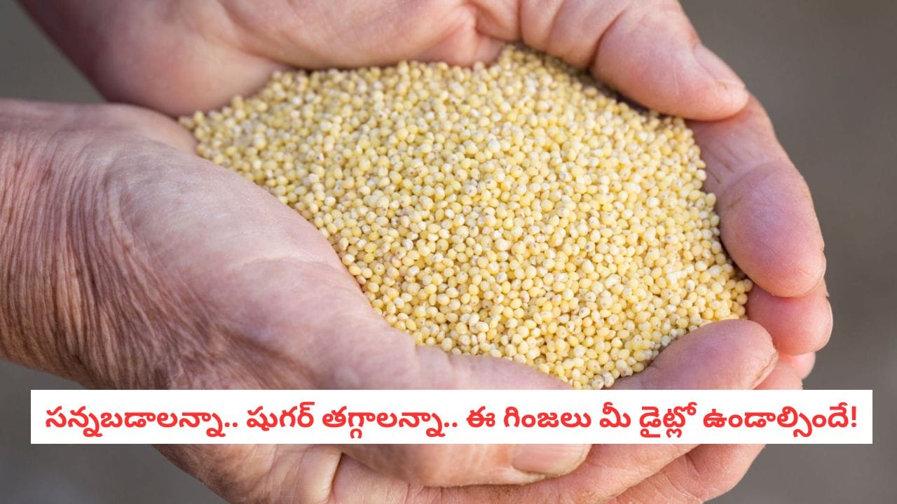 Millets: అన్నం బదులు వీటిని తింటే షుగర్ మాయం! డయాబెటిస్ పేషెంట్లకు ఈ గింజలు సంజీవని! Millets: అన్నం బదులు వీటిని తింటే షుగర్ మాయం! డయాబెటిస్ పేషెంట్లకు ఈ గింజలు సంజీవని!