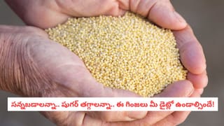 Sprouted Garlic: పాడైపోయిందని పారేయకండి.. మొలకెత్తిన వెల్లుల్లిలో దాగున్న అద్భుత పోషకాలివే!